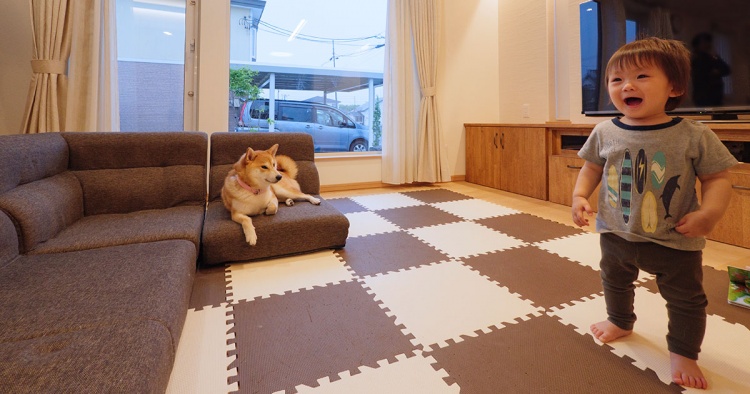 市販の収納カゴがぴったり！造作家具で悩み解決した家 十勝・芽室町 Tさん/プラスワイド 