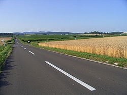 みんなで作った小さなわが家２　いける？いけぬ？頼みの綱「建築家」