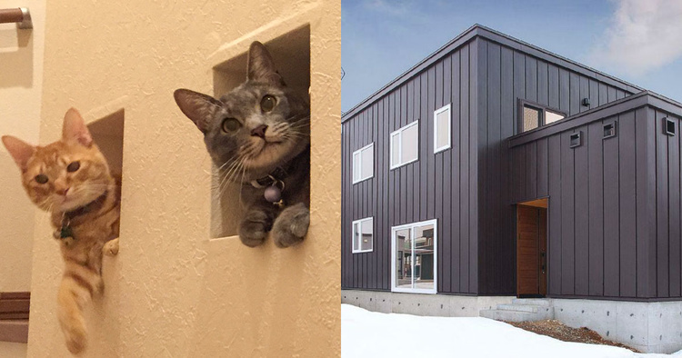 ペットと暮らす、アウトドアを楽しむ～サンケイ建匠施工例まとめ(1)