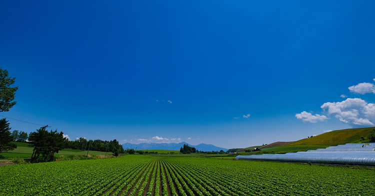 山小屋風ZEHで男ひとりのスローライフ 美瑛町・佐藤さん