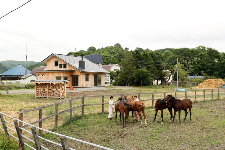 愛馬を見守る総板張りのイエ　 浦河町・T邸／神馬建設