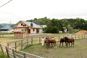 愛馬を見守る総板張りのイエ　 浦河町・T邸／神馬建設