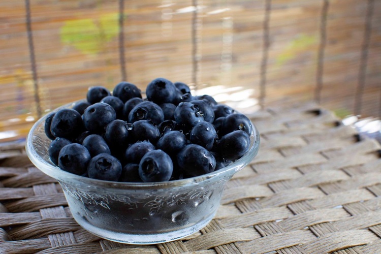 20年来で最高の味と量！ブルーベリーの丘くりはら2019は7月20日開園！