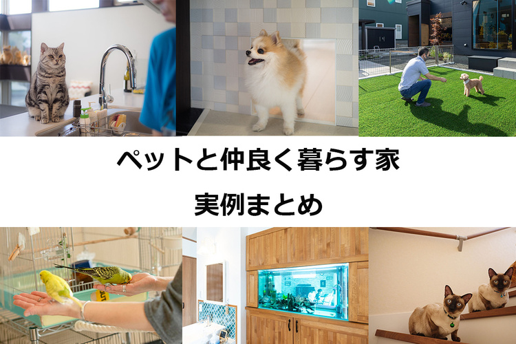 ペット（犬・ネコほか）と仲良く暮らす住宅10事例