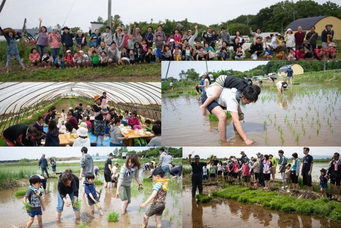 田植え参加者募集！　2022年6月11日土曜日です！