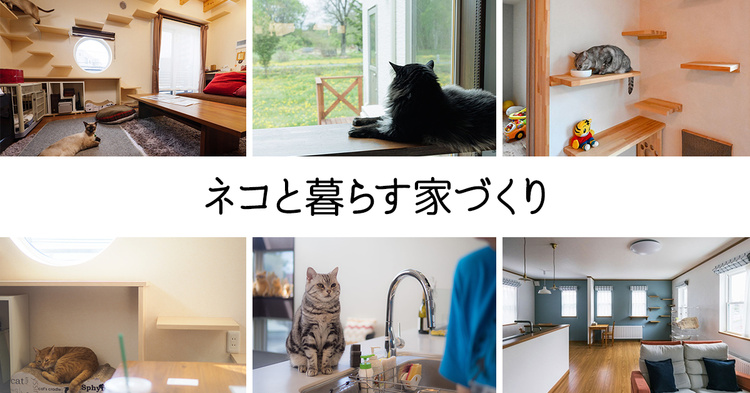 ネコと暮らす家づくり10選