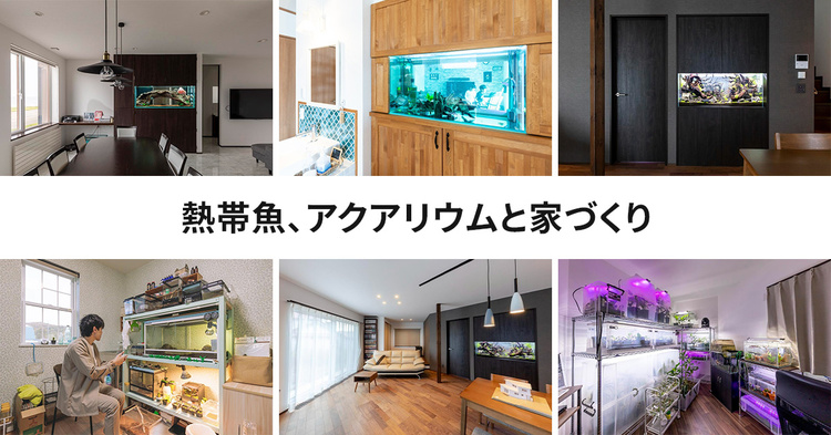 熱帯魚、アクアリウムと家づくり事例まとめ