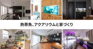 熱帯魚、アクアリウムと家づくり事例まとめ