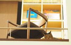 遊びの部分がたくさんある、猫とおばあちゃんのための家／札幌市・高野さん／アウラ建築設計事務所