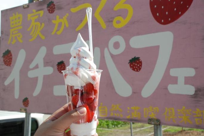 札幌市清田区の農家見学「都市農業見聞録」に参加しましたー！