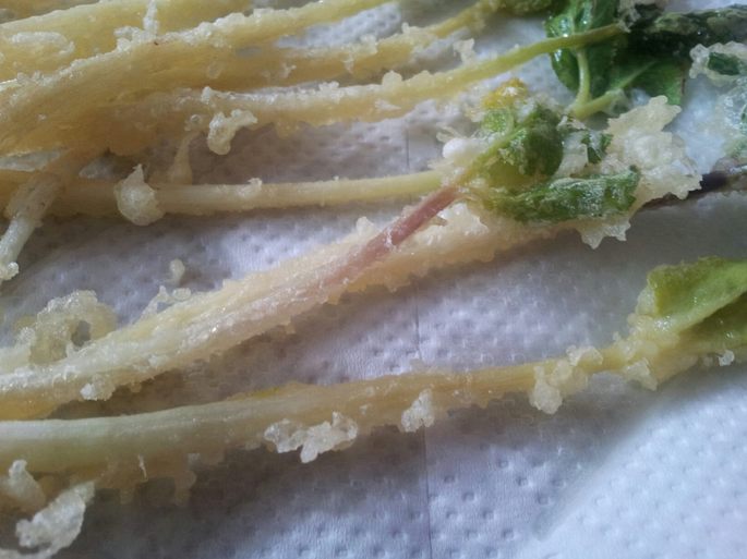 ハマボウフウの天ぷらと酢味噌和え　美味しい！