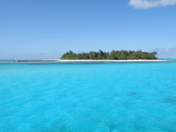 疑問。マリンブルーの海と磯焼けの海・・・