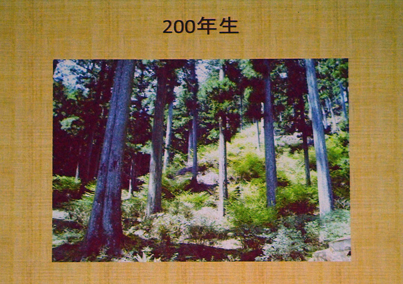 講演会のプロジェクター資料から。奈良県吉野地方では、200年という長いスパンで植林が行われている