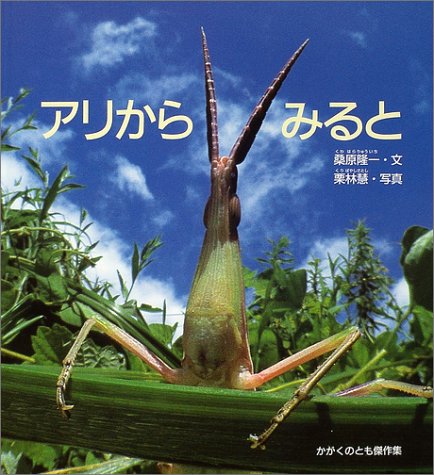 栗林慧先生の写真は、少年だった私に昆虫目線を、ロマンを与えてくれました。