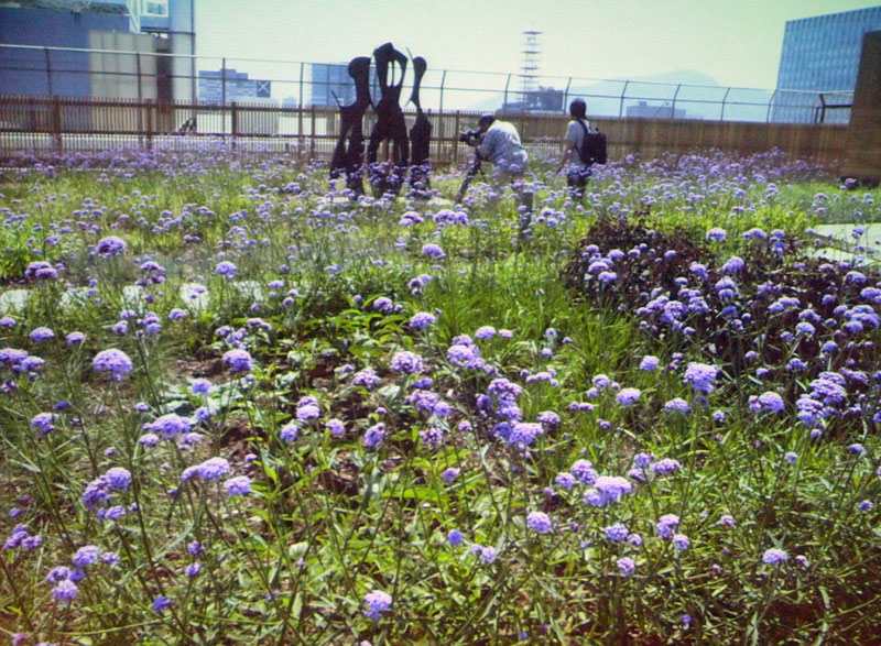 現代彫刻も置かれ、新しい憩いの場所として賑わうでしょう(講演会のOHPより)