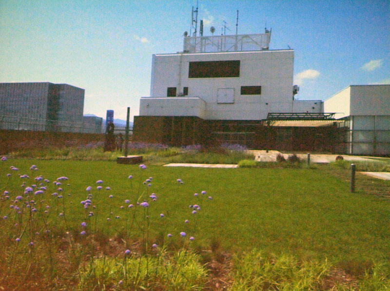 ビルの屋上は既に緑でいっぱい(講演会のOHPより)