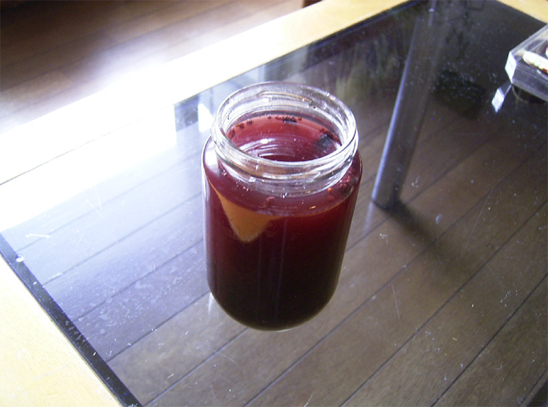 桑の実の酵母。この酵母でパンを作る。