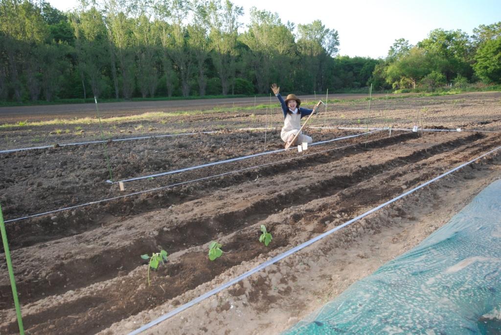 トマトの植え方を学ぶ＆るるる♪キッチンガーデンの６月２日作業記録