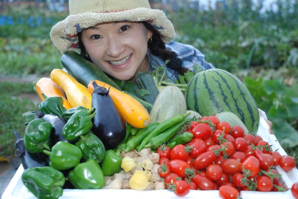 石狩の畑をめぐって食材ゲットの旅！