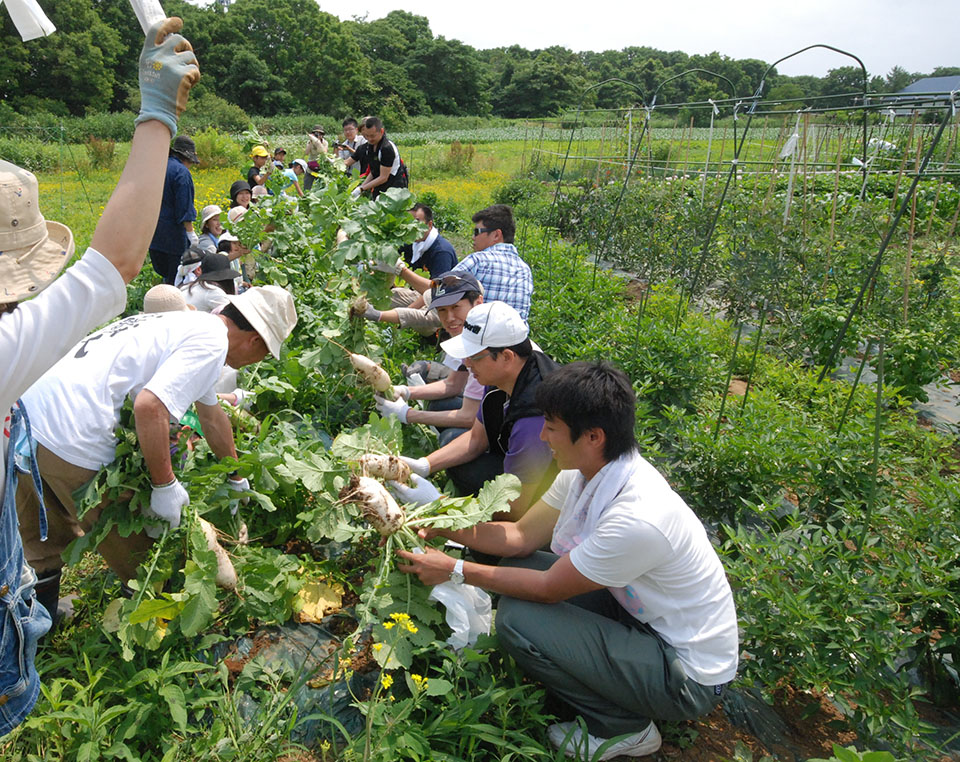 るるる♪キッチンガーデンくらぶ　とは？そして参加方法について